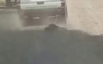 В Кашкадарье водитель Damas тащил по дороге привязанную собаку