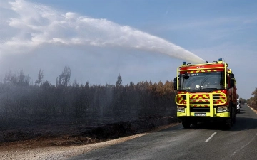 Во Франции из-за поджогов лесов задержали 275 человек