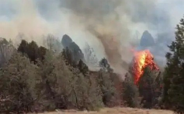 Boysun davlat o‘rmon xo‘jaligi hududida yong‘in sodir bo‘ldi