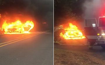 То легко взламываются, то моторы сгорают: в США начали расследование в отношении Kia и Hyundai