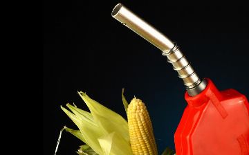 Кукурузный этанол оказался опаснее для природы, чем бензин