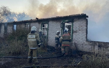 Узбекистан готов помочь Казахстану устранить последствия лесных пожаров