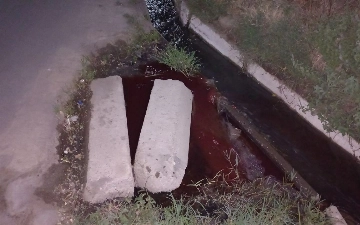 Напротив одной из школ Намангана заметили кровавую воду в арыке — видео