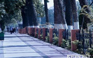 Воздух в Ташкенте на 14 ноября: уровень загрязнения снова превысил норму в девять раз