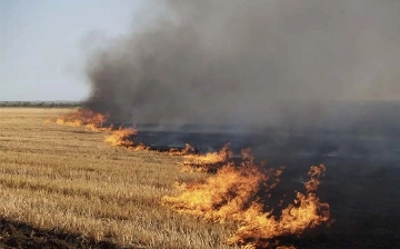 В Бухаре за загрязнение воздуха оштрафовали свыше 100 должностных лиц