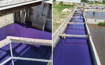 Против «Тошкент сув таъминоти» возбуждено уголовное дело из-за загрязнения канала Бозсу