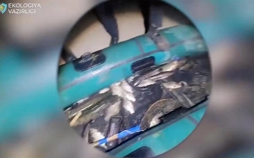 Sirdaryoda 30 dan ortiq baliq noqonuniy ovlanishi natijasida 356 mln so‘m zarar yetkazildi