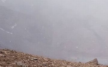 Кашкадарью накрыло первым снегом - видео