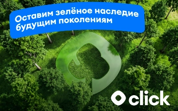Как деревья помогают очищать воздух — и как технологии могут усилить этот эффект