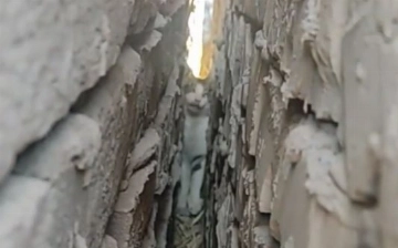 В Нукусе спасатели вызволили котенка, застрявшего между стенами дома (видео) 