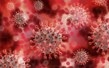 Был ли выявлен новый штамм коронавируса «омикрон» в Узбекистане?