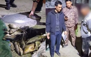 В Сырдарье незаконно ловили рыбу: ущерб оценили более чем в 700 млн сумов