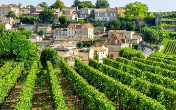 Узбекистанцев привлекут к сезонной работе во Франции