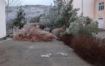 Жителей нескольких регионов Узбекистана предупредили об усилении ветра