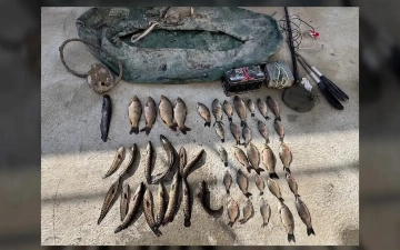 В Сырдарье незаконно ловили рыбу: ущерб составил более 500 млн сумов