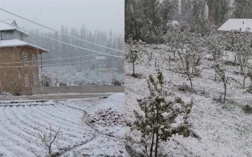 В некоторых регионах Узбекистана выпал снег (видео)
