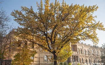 Синоптики рассказали, какая погода ждет узбекистанцев на следующей неделе