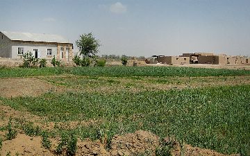 С начала года в Узбекистане самовольно захватили почти 2500 га земель