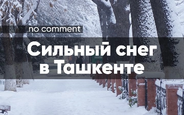Последствия сильного снега в Ташкенте 