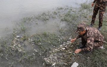 Возбуждено уголовное дело в отношении завода, приведшего к массовой гибели рыбы в реке Зарафшан