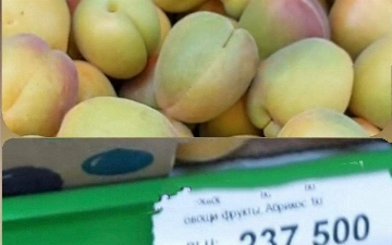 Магазины Узбекистана начали продавать «урюк» по «сумасшедшей» цене