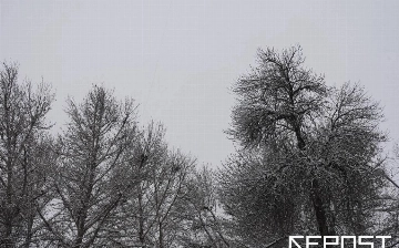 Ish haftasi davomida havo harorati 10 darajagacha ko‘tariladi