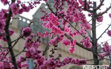 Mart oyida ob-havo qanday bo‘ladi?