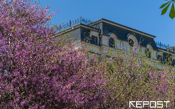 Узгидромет: Прошедший март был теплее нормы