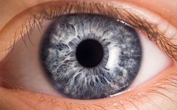Названа болезнь глаз, вызванная дефицитом витамина D