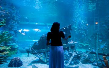 20 марта состоится открытие океанариума в Magic City