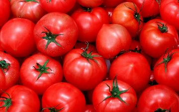 Россия сняла ограничения на ввоз томатов и перца из Узбекистана