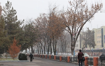 Ташкент оказался в десятке городов с самым загрязненным воздухом