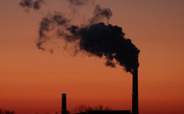 В Узбекистане хотят усилить ответственность за эконарушения