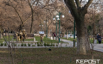 Синоптики рассказали, какая погода ждет узбекистанцев на следующей неделе