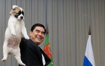 Бердымухамедов приказал объединить праздники алабая и ахалтекинца в Туркменистане
