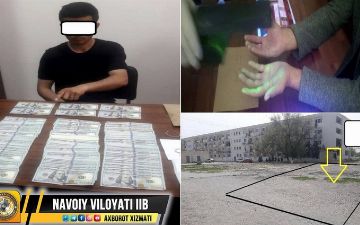 В Навои арестовали мужчину за продажу 10 га за $50 тысяч