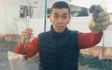 В Узбекистане блогер запустил хомяка в небо на воздушных шарах 