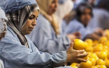 Загрязненные продукты питания ежегодно становятся причиной 1,5 млн смертей