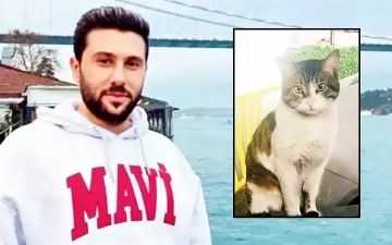 В Турции убийце дворового кота дали рекордные 2,5 года тюрьмы 