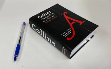 Определено слово, отражающее дух 2025 года