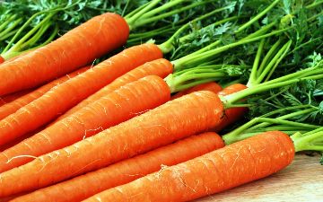 Все знают, что морковь улучшает зрение. Но какие еще полезные свойства есть у этого овоща и кому его нельзя употреблять?