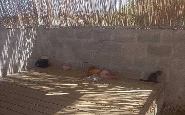 В Бухаре 9-месячного ребенка оставили в сарае в аномальную жару 