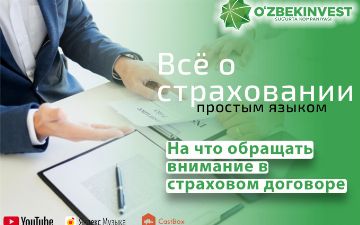 «Узбекинвест»: на что нужно обращать внимание при оформлении страхового договора