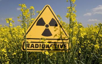 Как радиация влияет на живые организмы