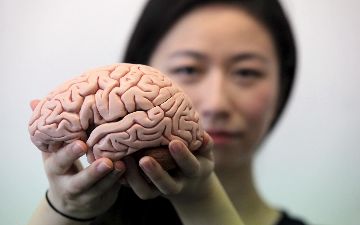 Коронавирус поражает мозг сильнее, чем болезнь Альцгеймера — что грозит мозгу?