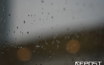 Дожди и туман: какая погода ждет узбекистанцев на этой неделе