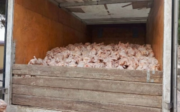 В Ташкент пытались провезти 3 тонны испорченной курятины 
