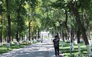 В Ташкенте было зафиксировано повышенное загрязнение воздуха