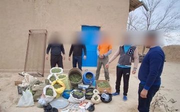 У жителя Кашкадарьи изъяли более 25 кг марихуаны