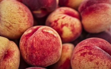 Из Узбекистана в Россию завезли персики, зараженные плодожоркой